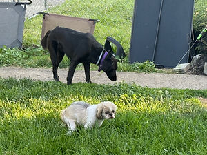 image8.jpeg