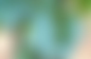 Enquête DEPHYTO : "Impacts du cuivre en viticulture sur la biodiversité" 