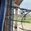 Thumbnail: Hummingbird swing