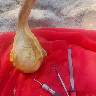 Coloquinte veilleuse végétale  solaire.jpg