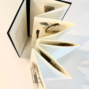 Livre d'artiste Particules 2026
