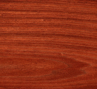 Depositphotos 5020254