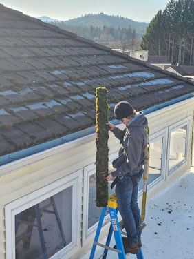 gutter cleaning