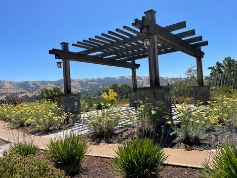 Backyard Remodel