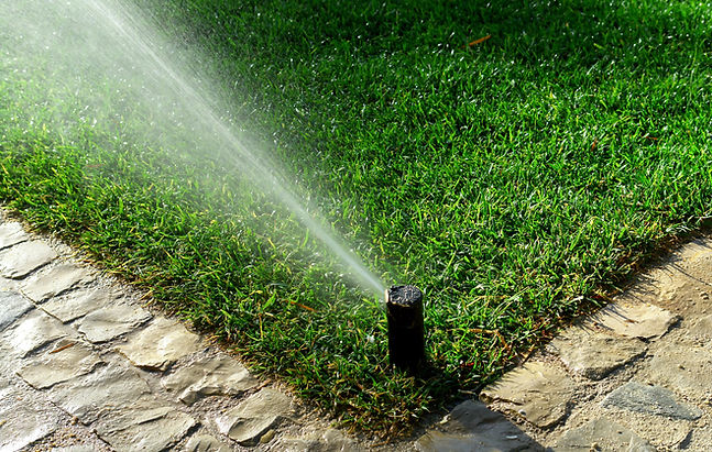 sprinkler system