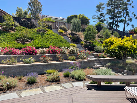 Backyard Remodel