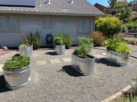 Backyard Remodel