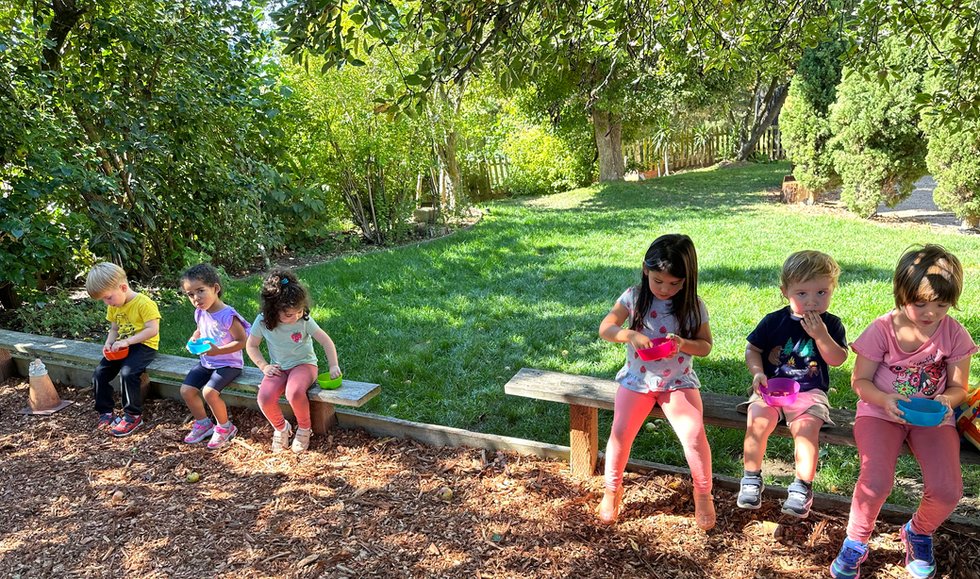 Monte Tavor Forest Program