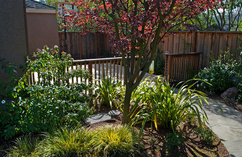 Backyard living space