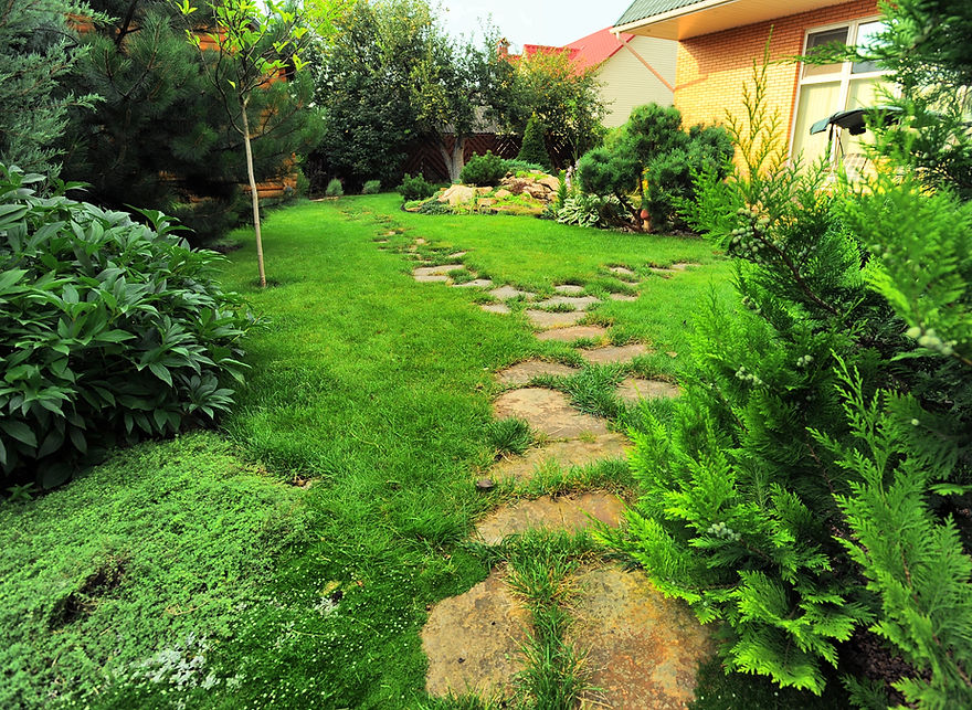 landscaped backyard