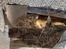 moldy ceiling