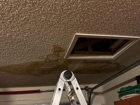 mold
