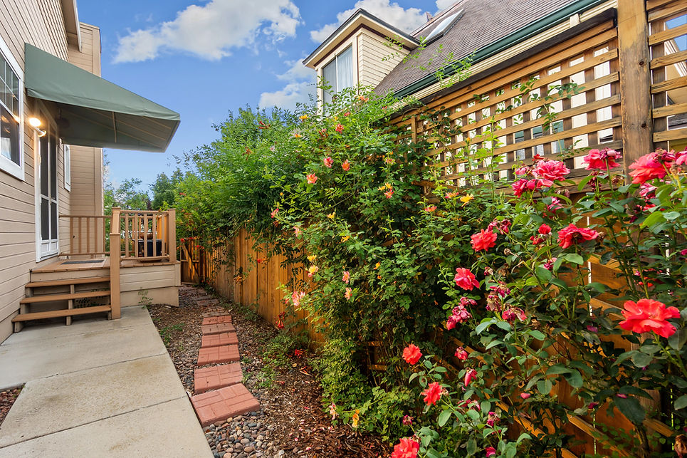 landscape and hardscape
