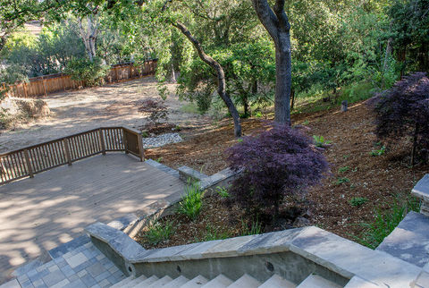 Hillside landscaping