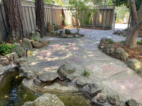 Backyard Remodel