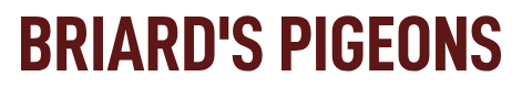 Briard's Pigeons logo