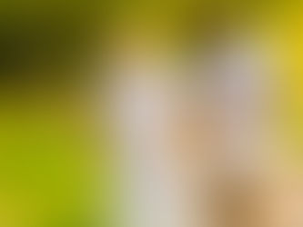 Uncharted Waters: Navigating the Emotional Journey of Caregiving