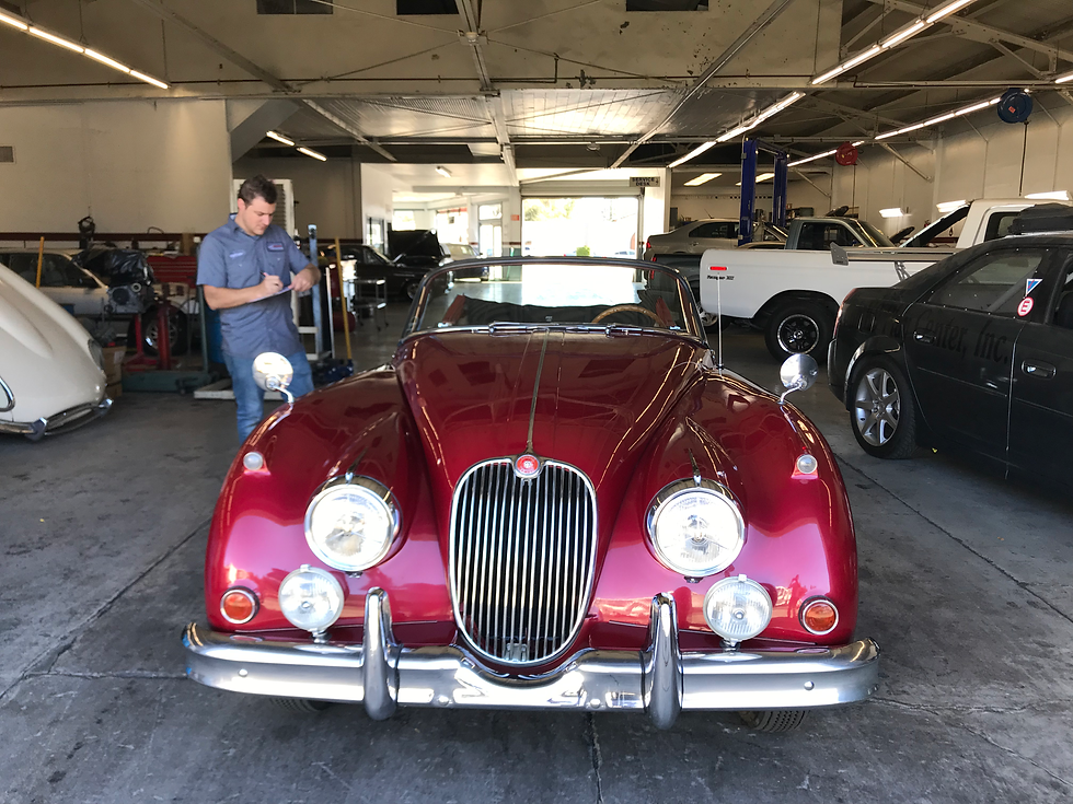Gilroy Car Care