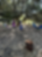 Monte Tavor Forest Program