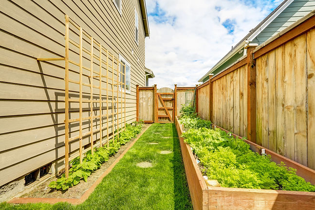 trellis and planter boxes