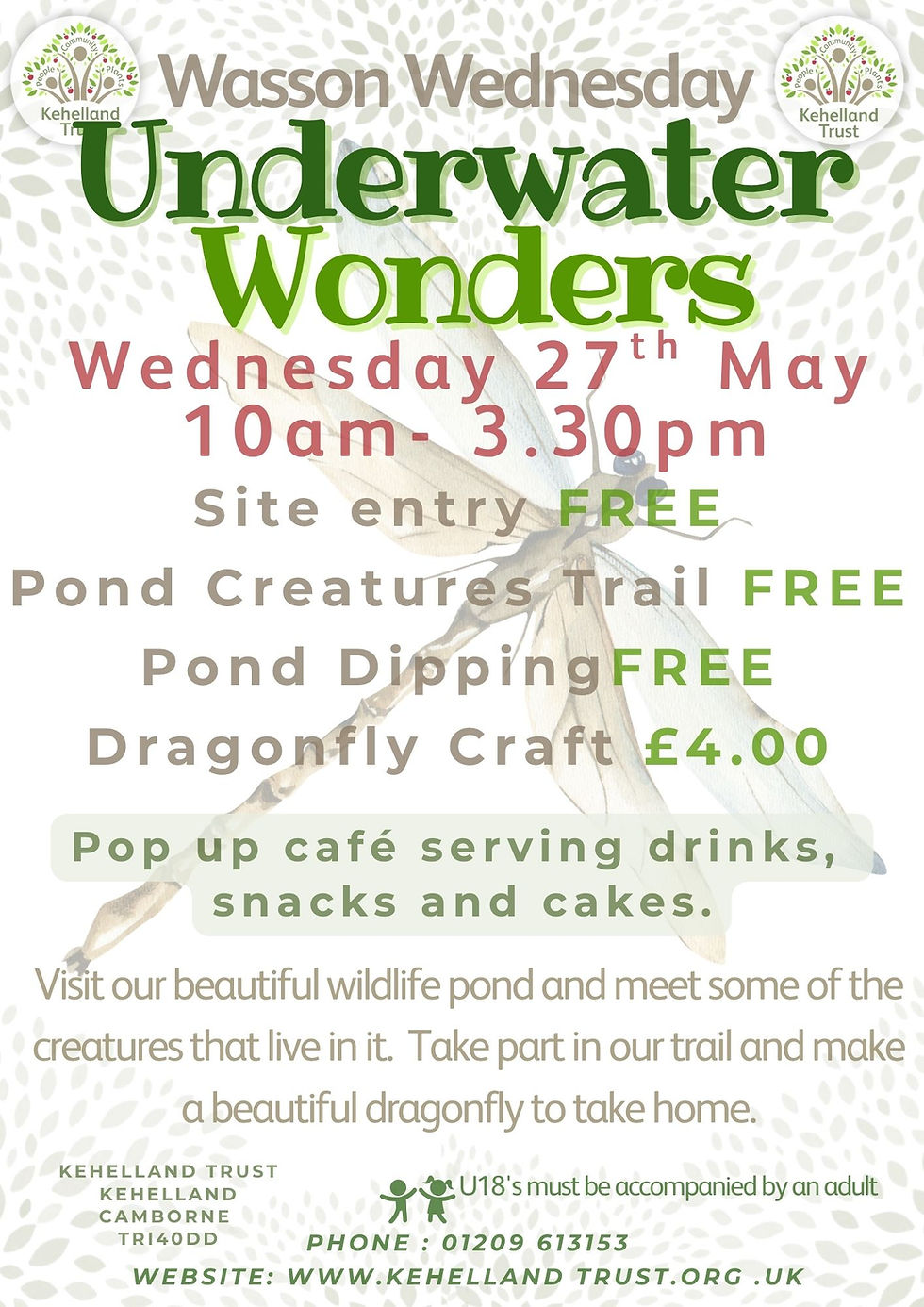 Wasson Wednesdays Underwater Wonder Day