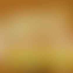 An apparel distributor using a mobile-based order management system to replace manual order taking with automated apparel order booking software for faster and error-free order processing