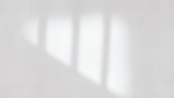 Light and Shadow_edited.jpg