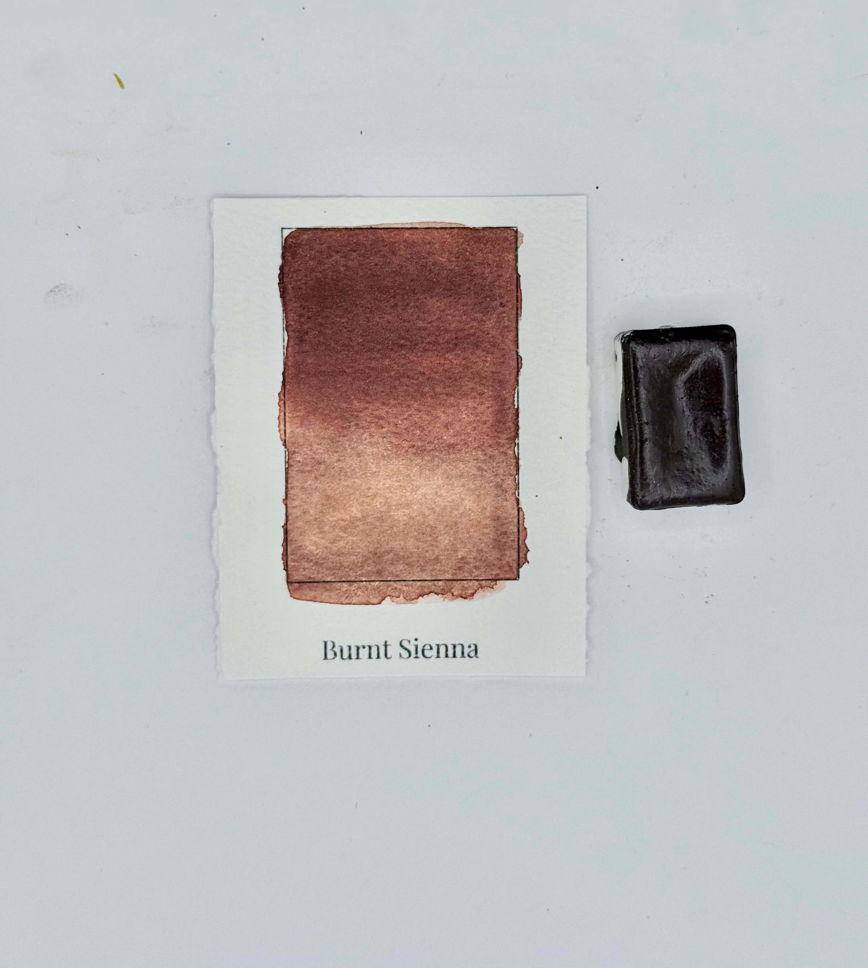 Burnt Sienna Individual Full Pan