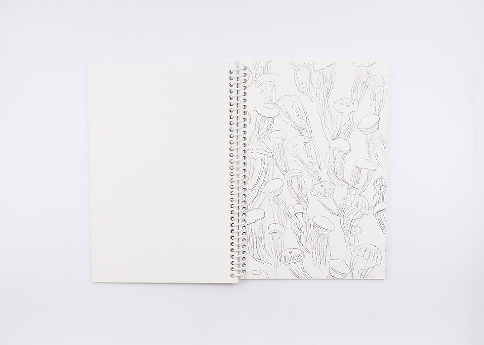 Thumbnail: Beach Days Painting Book