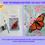 Thumbnail: Monarch Butterfly Watercolor Painting Kit