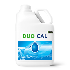 DUO CAL.png