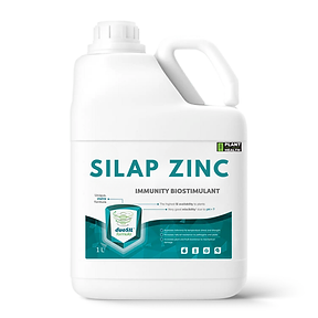 SILAP ZINC.png