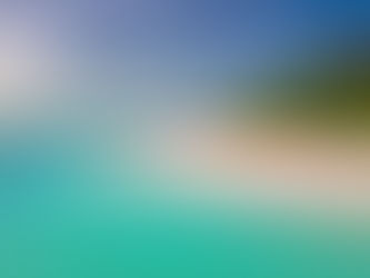 タイに魅せられて・・・