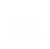AileyCamp Baltimore WHITE LOGO.png