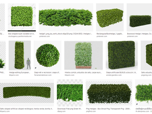 Thư viện cây Photoshop png miễn phí, dùng ghép cảnh quan, mặt bằng, phối cảnh.