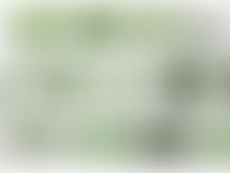 Thư viện cây Photoshop png miễn phí, dùng ghép cảnh quan, mặt bằng, phối cảnh.