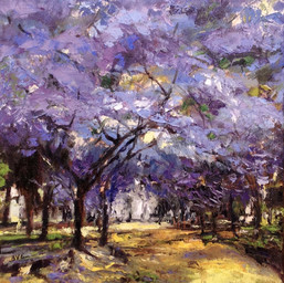 Jacarandas