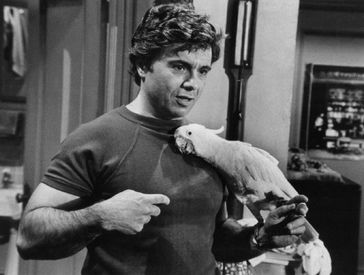 The Peculiar Truth about the TV Star Murder Case