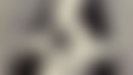 The Peculiar Truth about the Kidnapped Preacher