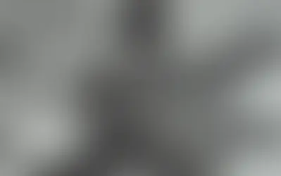 The Peculiar Truth about the 1st Black Woman in Country Music