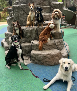 Screenshot 2025-11-08 080500