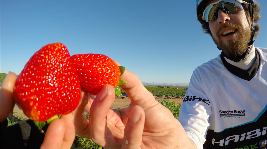 Pedelec Adventures Strawberries in California