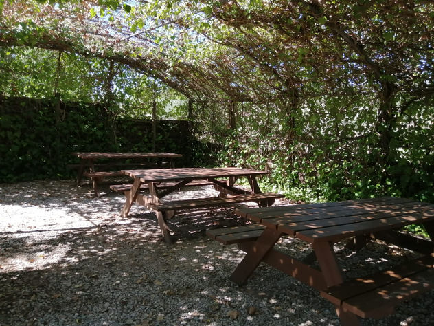 Restaurant(e)