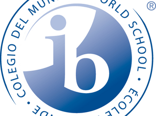 Ebbinghaus, Machiavelli and Me: Tips for new coming IB students