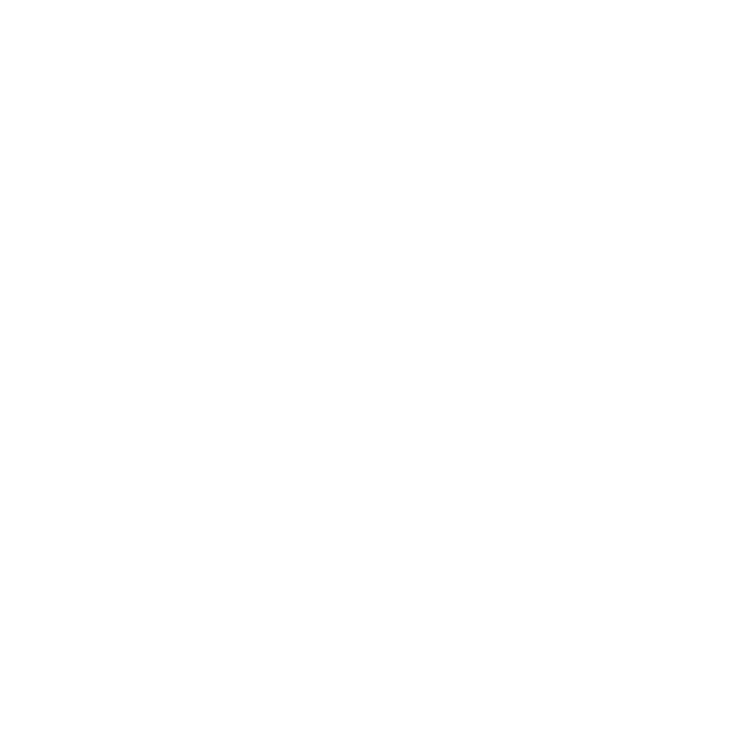 Dark Pro Tint Logo White no background
