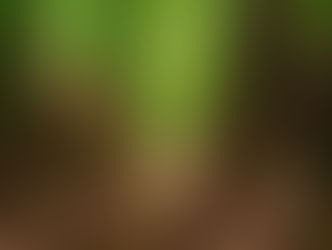 Reflections at the Trailhead