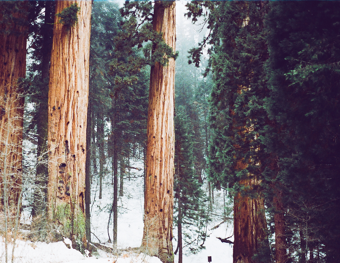 Untitled (11 x 8.5 in).png