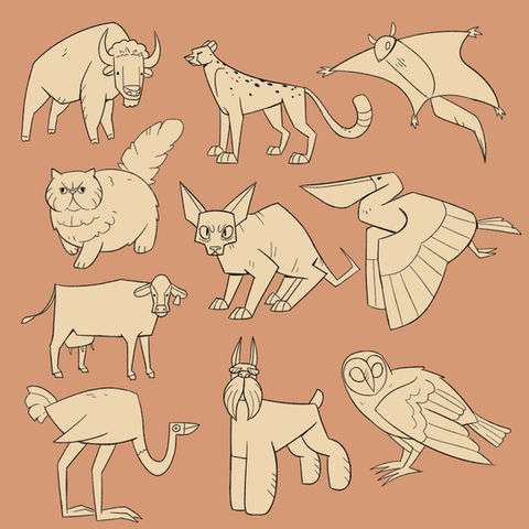 Animal Designs