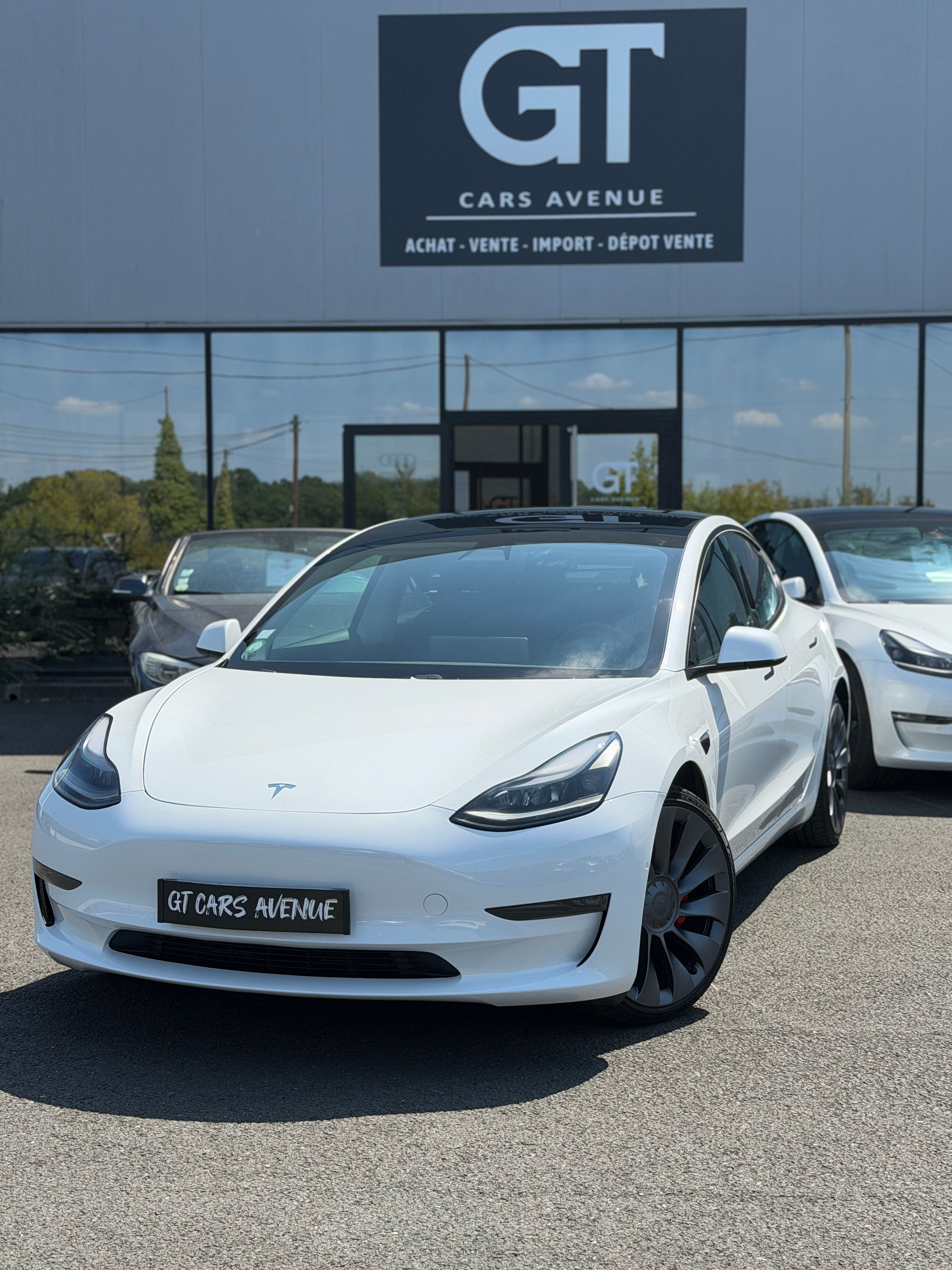 TESLA MODEL 3 PERFORMANCE DUAL MOTOR 482ch