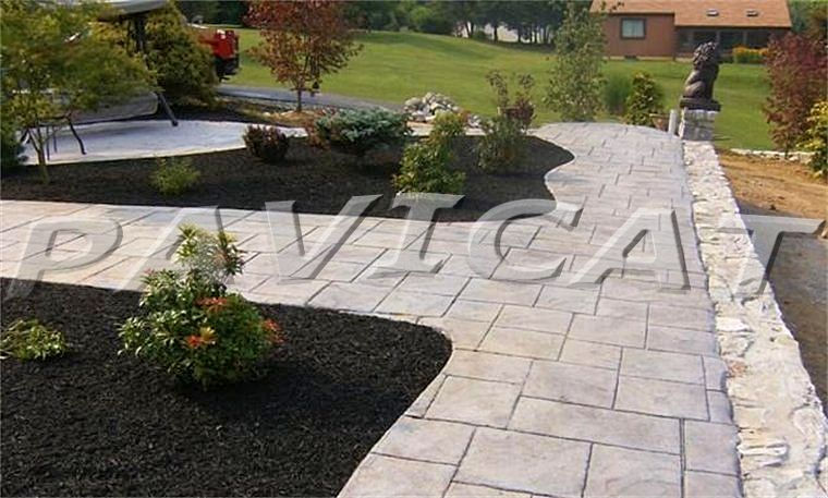 PaviCat versaille20.jpg